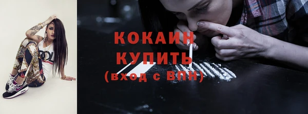 спиды Вяземский