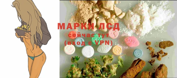 гидропоника Володарск