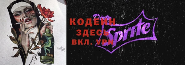 спиды Вяземский